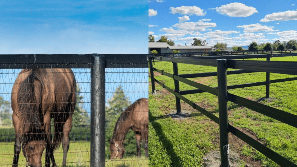 HorseRail vs Mesh